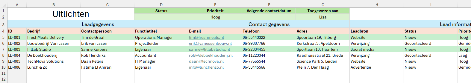 Voorbeeld van hoe het werkblad eruit ziet waar je leads kunt bijhouden